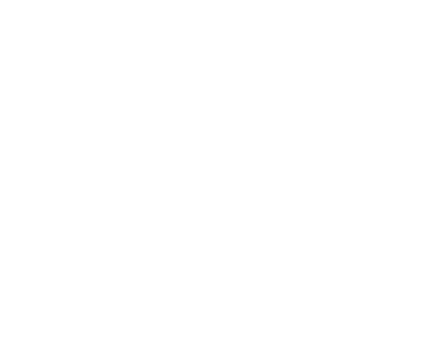 Year-Round Releases