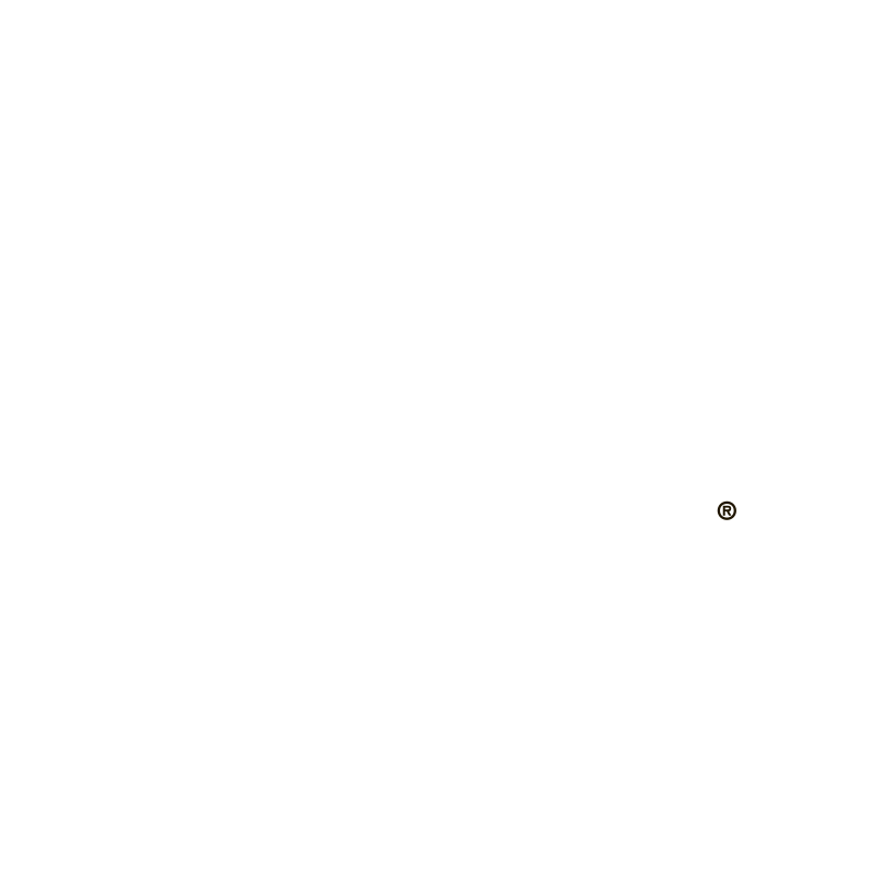Double Bastard Ale
