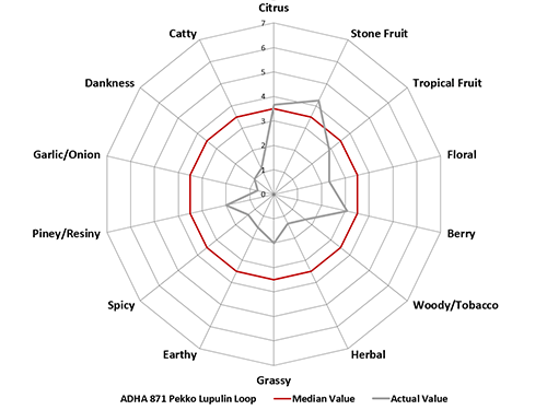 Pekko hops flavor profile